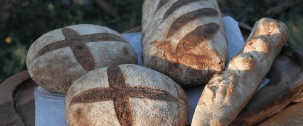 Sourdough Bread Clay Ovens and Leaven