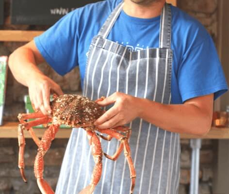 How to cook and prepare a spider crab Tom s Feast