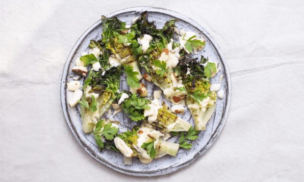 Waste Not- Lettuce